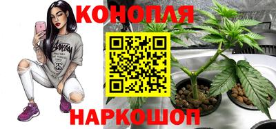 мдпв Можайск