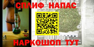 мдпв Можайск