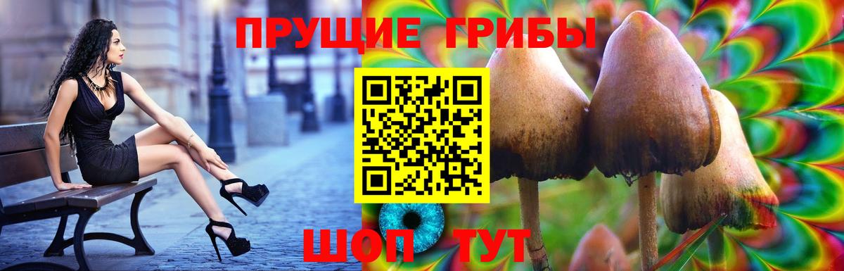 Псилоцибиновые грибы MAGIC MUSHROOMS  Вход с VPN  Узловая  Галлюциногенные грибы Psilocybine cubensis 