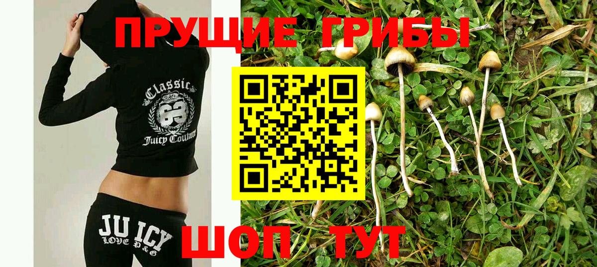 Псилоцибиновые грибы мицелий Узловая